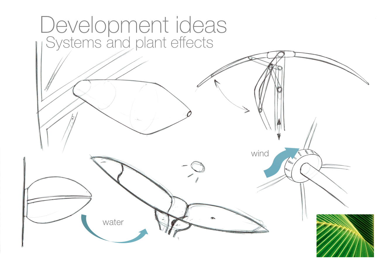 development biomimicry sketches
