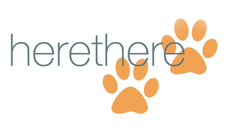 herethere logo
